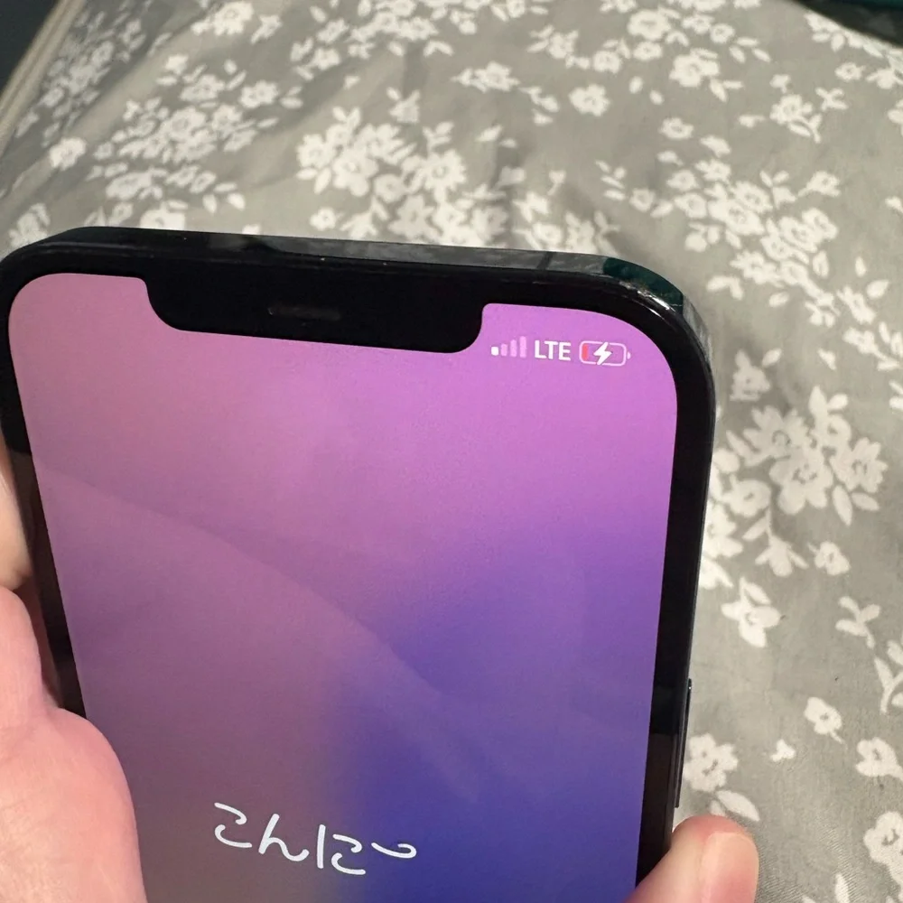 iPhone 12 Pro Max